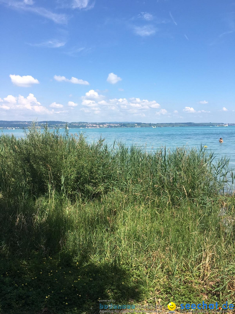 Corona-Virus - Covid-19 in der Bodensee-Region 2020