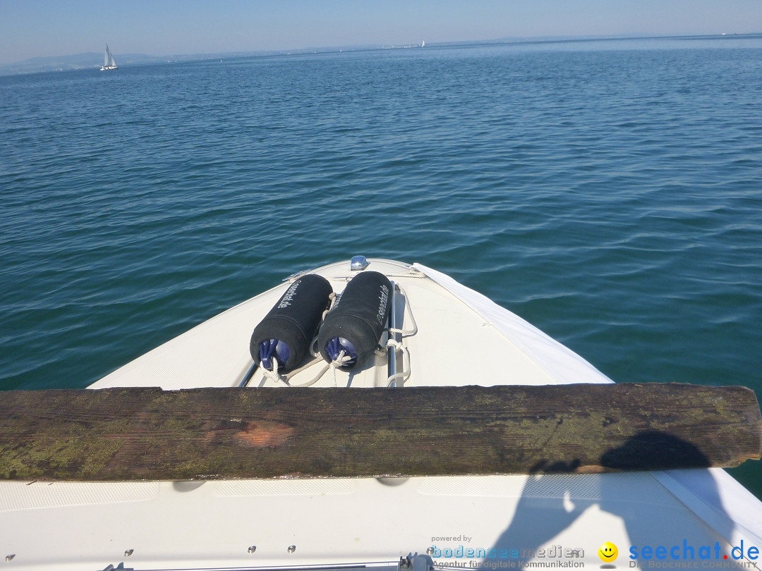 BODENSEEBOOT-Friedrichshafen-240620-Bodensee-Community-SEECHAT_DE-P1050482