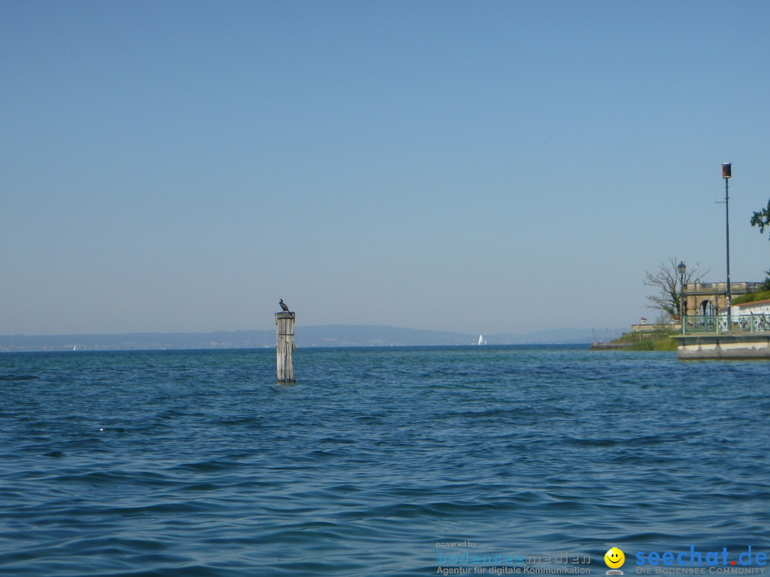 BODENSEEBOOT-Friedrichshafen-240620-Bodensee-Community-SEECHAT_DE-P1050518