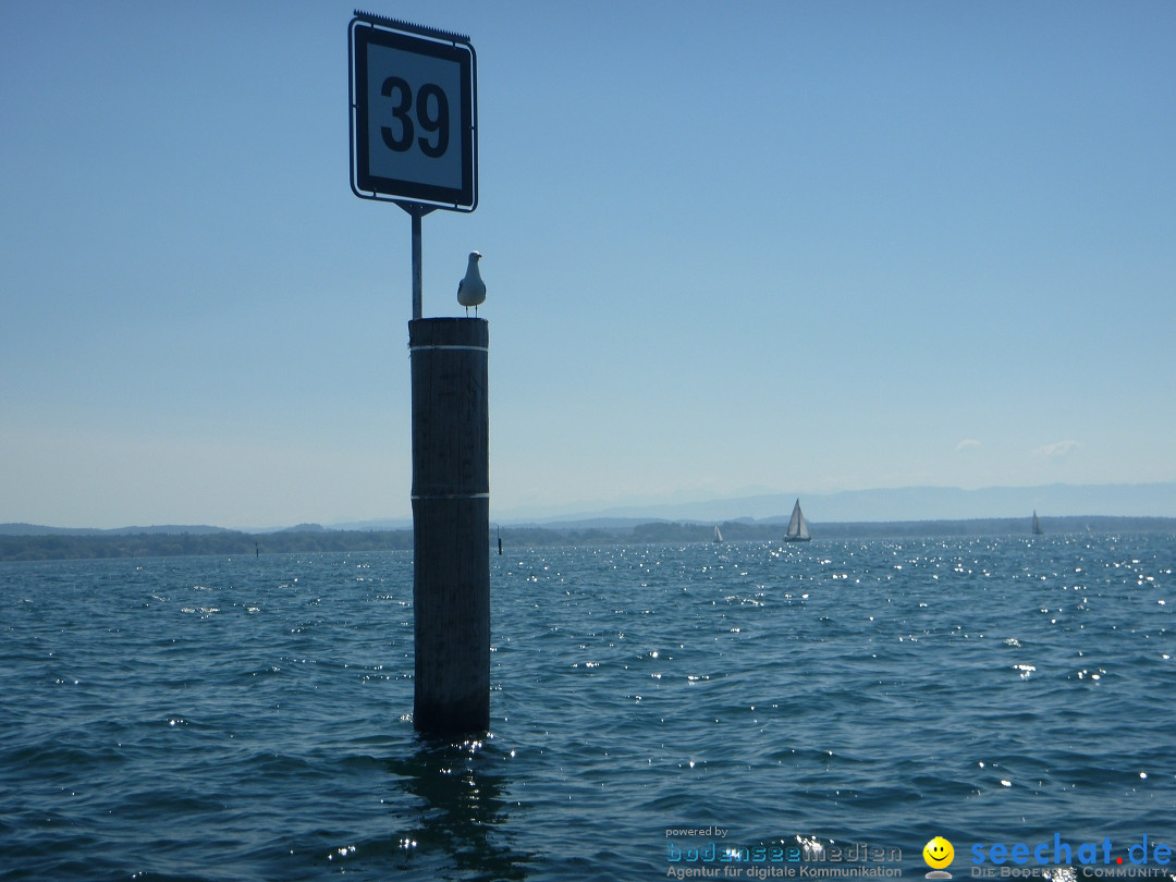 BODENSEEBOOT-Friedrichshafen-240620-Bodensee-Community-SEECHAT_DE-P1050528