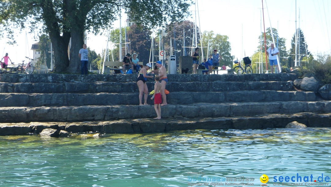 BODENSEEBOOT.DE 2-fache Querung Anke Hoehne: Friedrichshafen, 30.07.2020