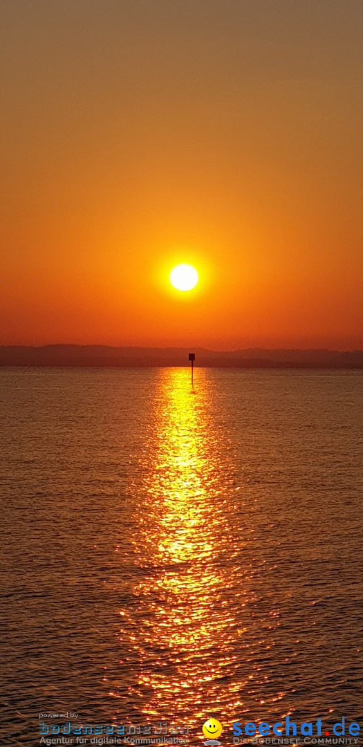 BODENSEEBOOT.DE 2-fache Querung Anke Hoehne: Friedrichshafen, 30.07.2020