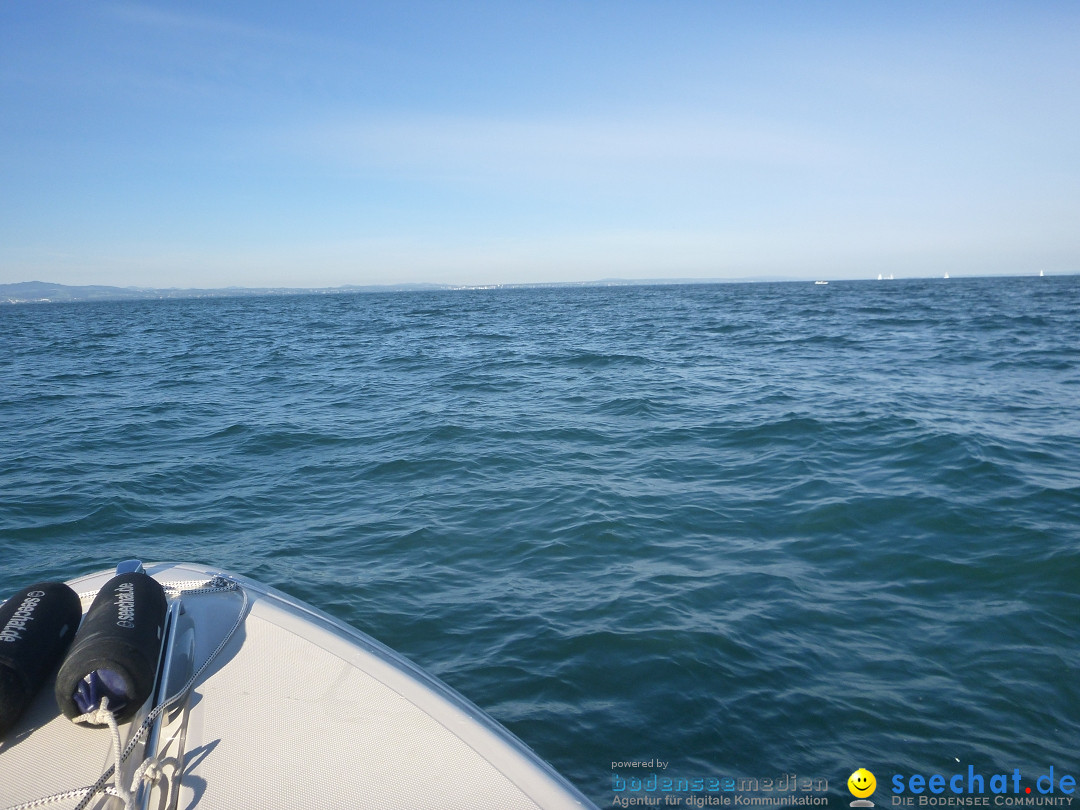 BODENSEEBOOT.DE Bodensee Querung, Thorsten Ratzlaff: Friedrichshafen, 25.08