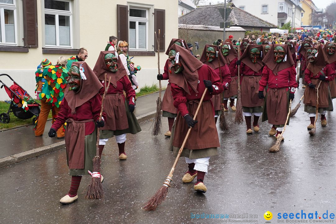 Fasnetsumzug: Heiligenberg am Bodensee, 08.01.2023