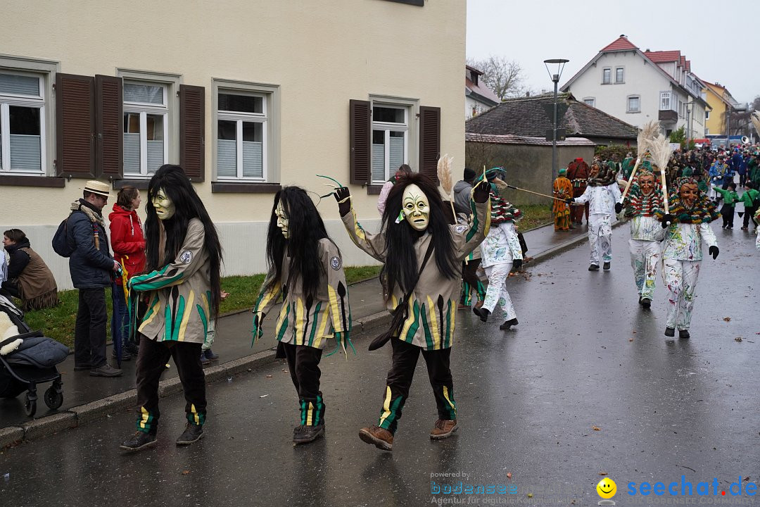 Fasnetsumzug: Heiligenberg am Bodensee, 08.01.2023