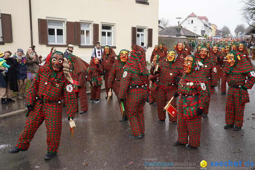 Fasnetsumzug: Heiligenberg am Bodensee, 08.01.2023