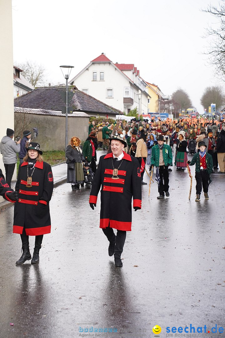 Fasnetsumzug: Heiligenberg am Bodensee, 08.01.2023