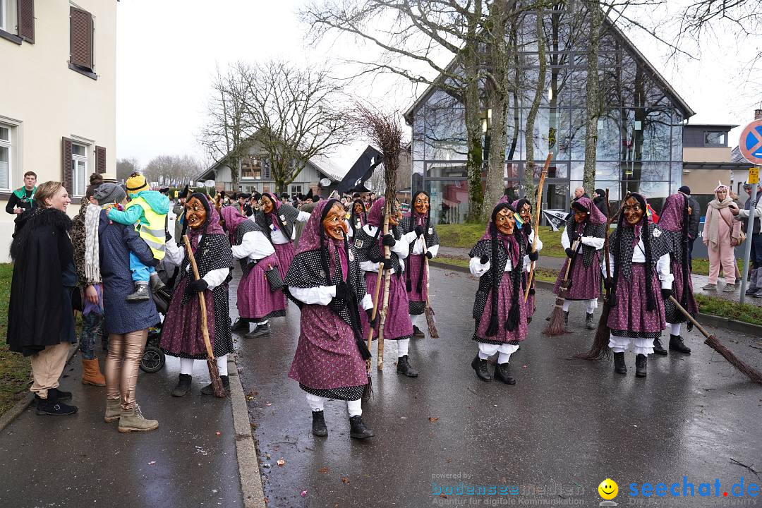 Fasnetsumzug: Heiligenberg am Bodensee, 08.01.2023