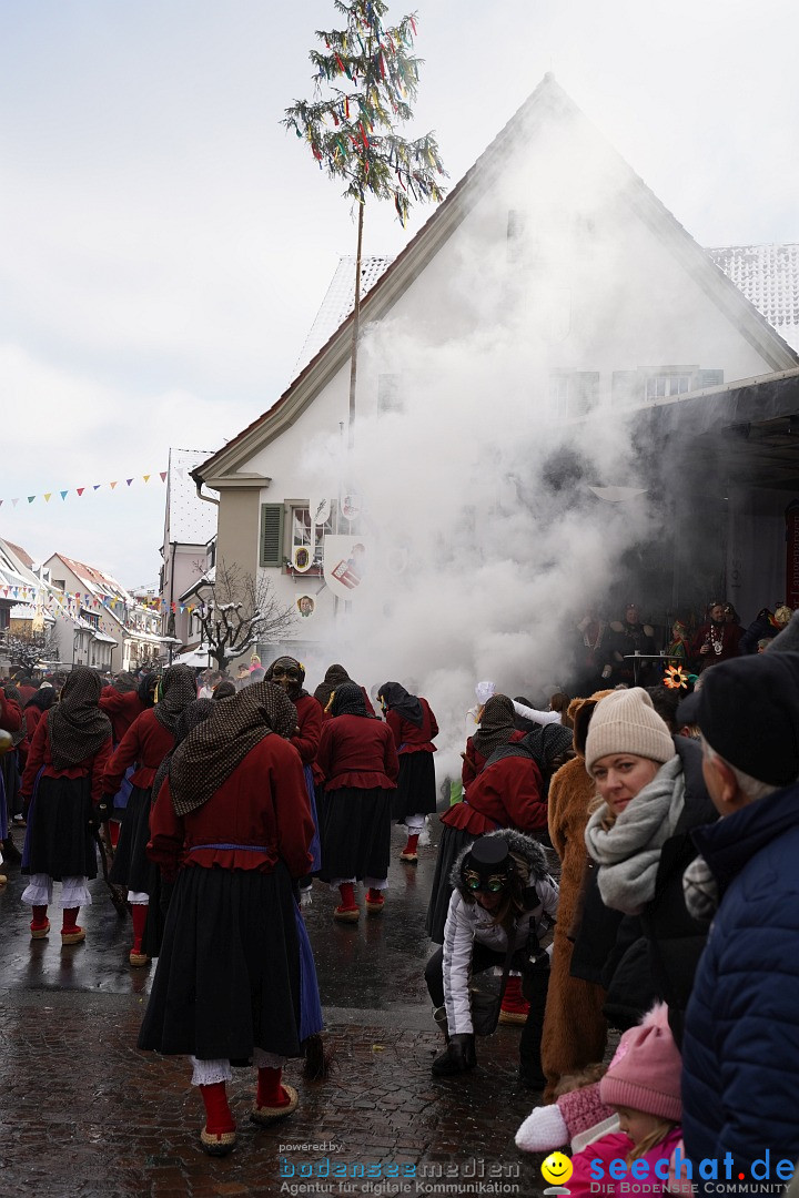 Narrenumzug: Langenargen am Bodensee, 22.01.2023