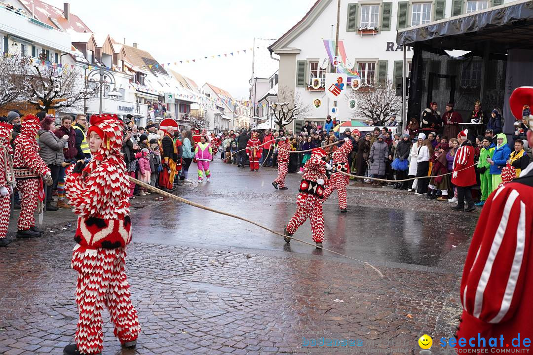 Narrenumzug: Langenargen am Bodensee, 22.01.2023