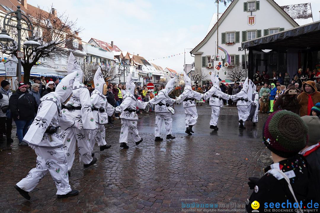 Narrenumzug: Langenargen am Bodensee, 22.01.2023