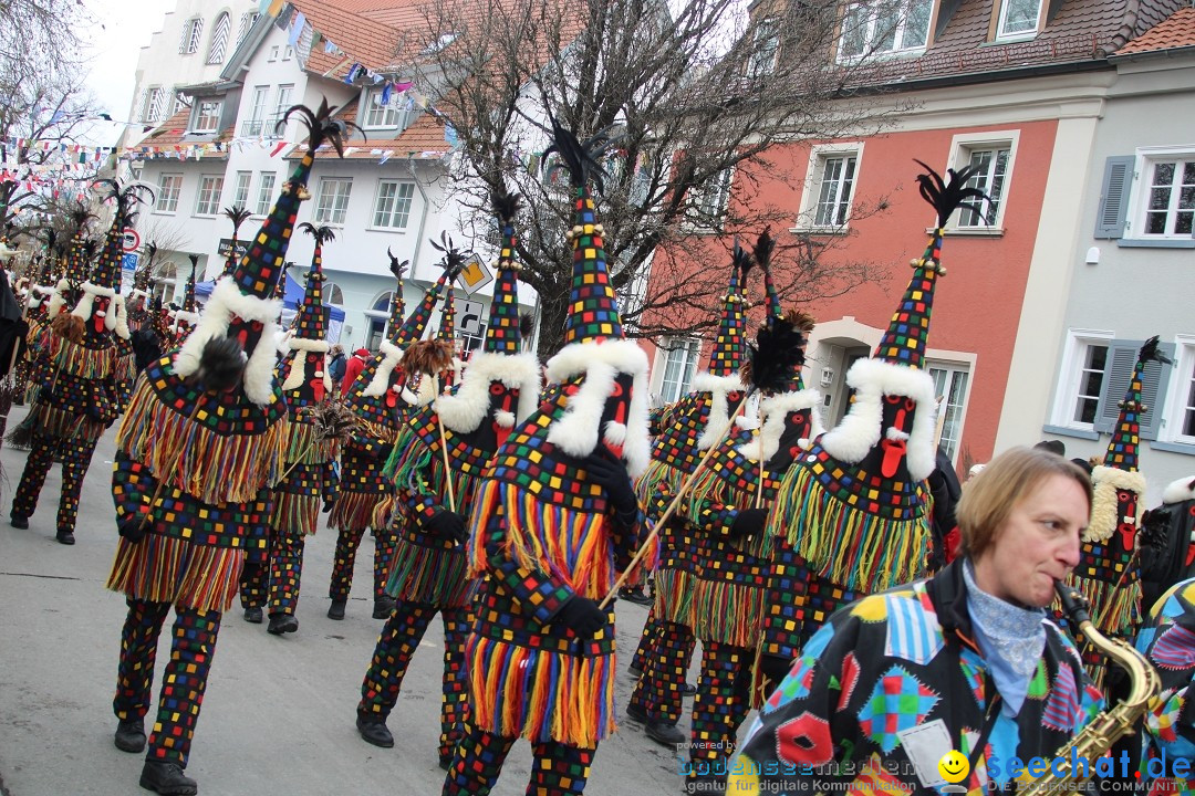 Fasnetsumzug - Weltverkehrsstadt: Tettnang am Bodensee, 29.01.2023