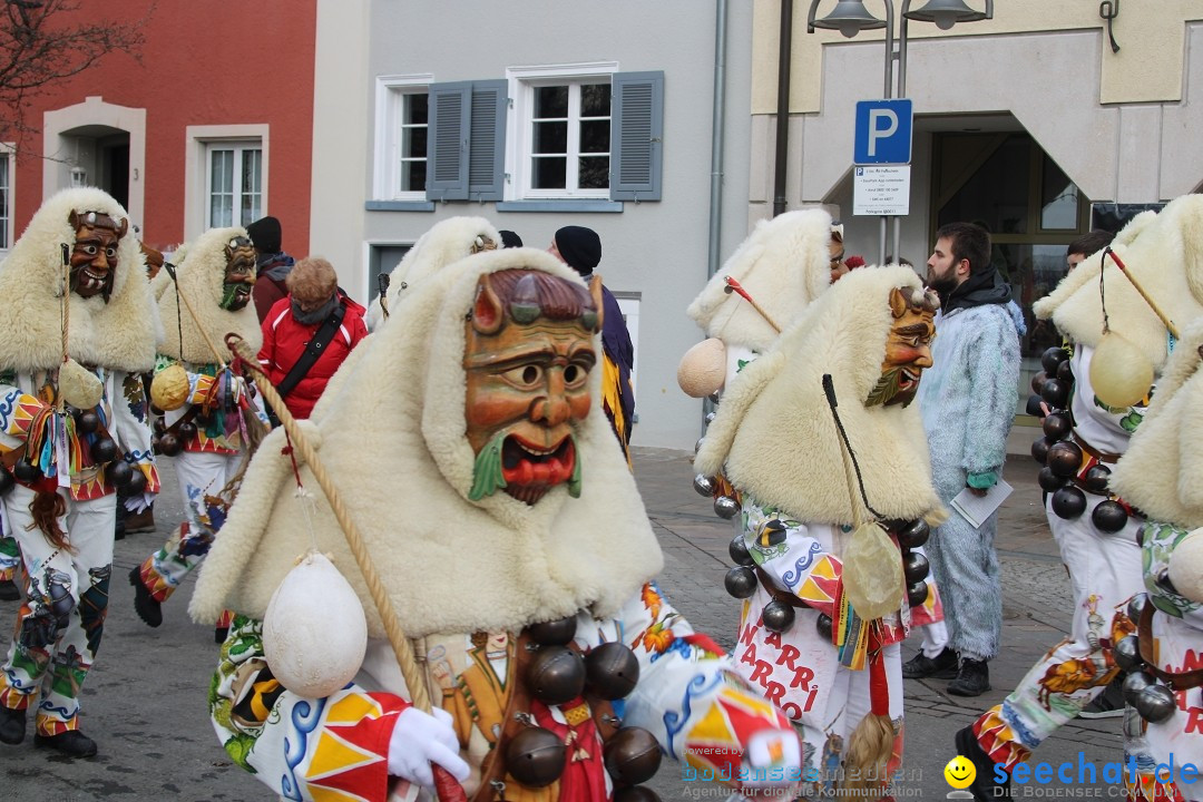 Fasnetsumzug - Weltverkehrsstadt: Tettnang am Bodensee, 29.01.2023