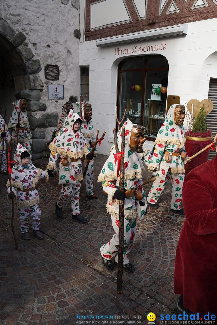 Narrenbaumstellen: Markdorf am Bodensee, 11.02.2023