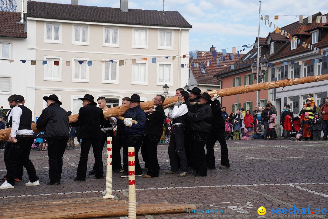 Narrenbaumstellen: Markdorf am Bodensee, 11.02.2023