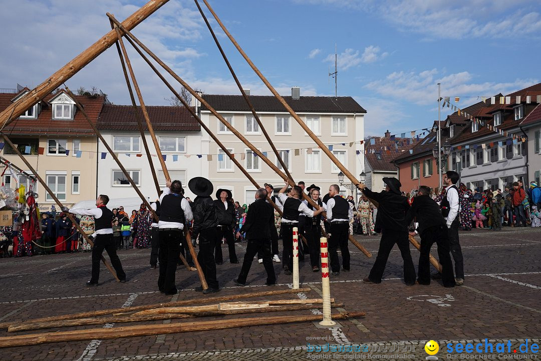 Narrenbaumstellen: Markdorf am Bodensee, 11.02.2023