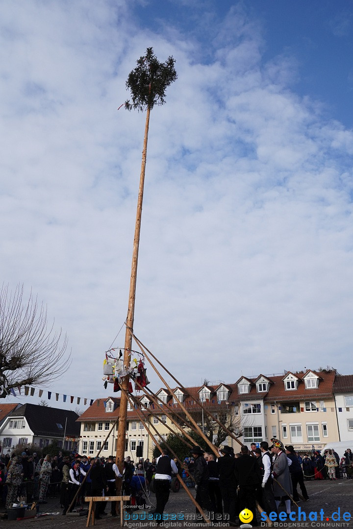 Narrenbaumstellen: Markdorf am Bodensee, 11.02.2023