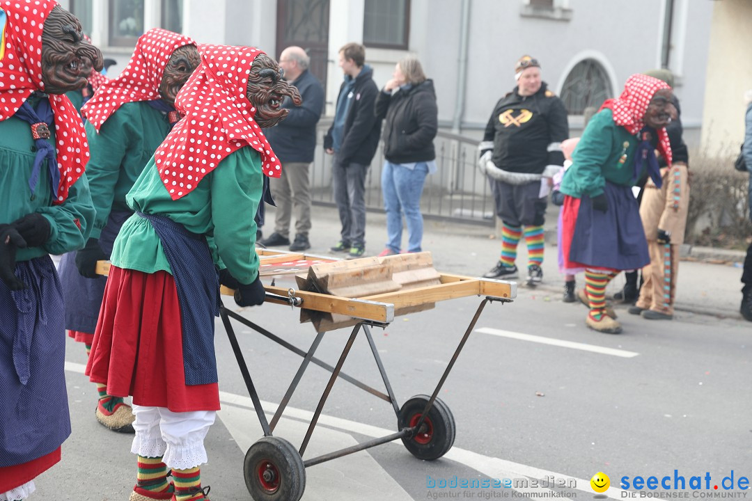 Narrensprung - Fasnetsumzug 2023: Baienfurt, 18.02.2023