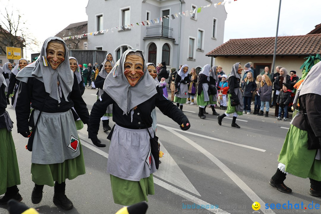 Narrensprung - Fasnetsumzug 2023: Baienfurt, 18.02.2023