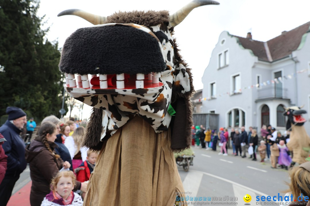 Narrensprung - Fasnetsumzug 2023: Baienfurt, 18.02.2023