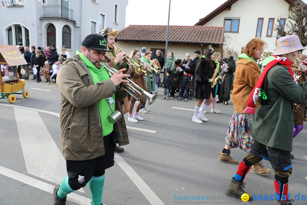 Narrensprung - Fasnetsumzug 2023: Baienfurt, 18.02.2023