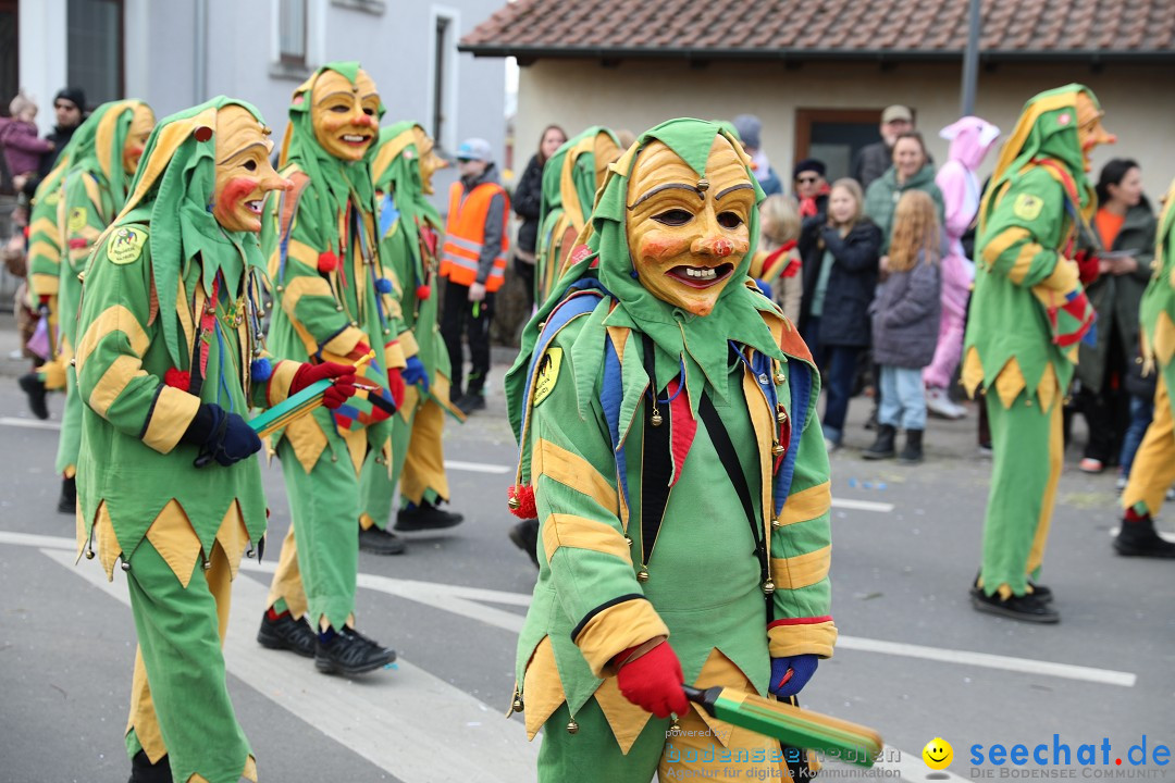Narrensprung - Fasnetsumzug 2023: Baienfurt, 18.02.2023