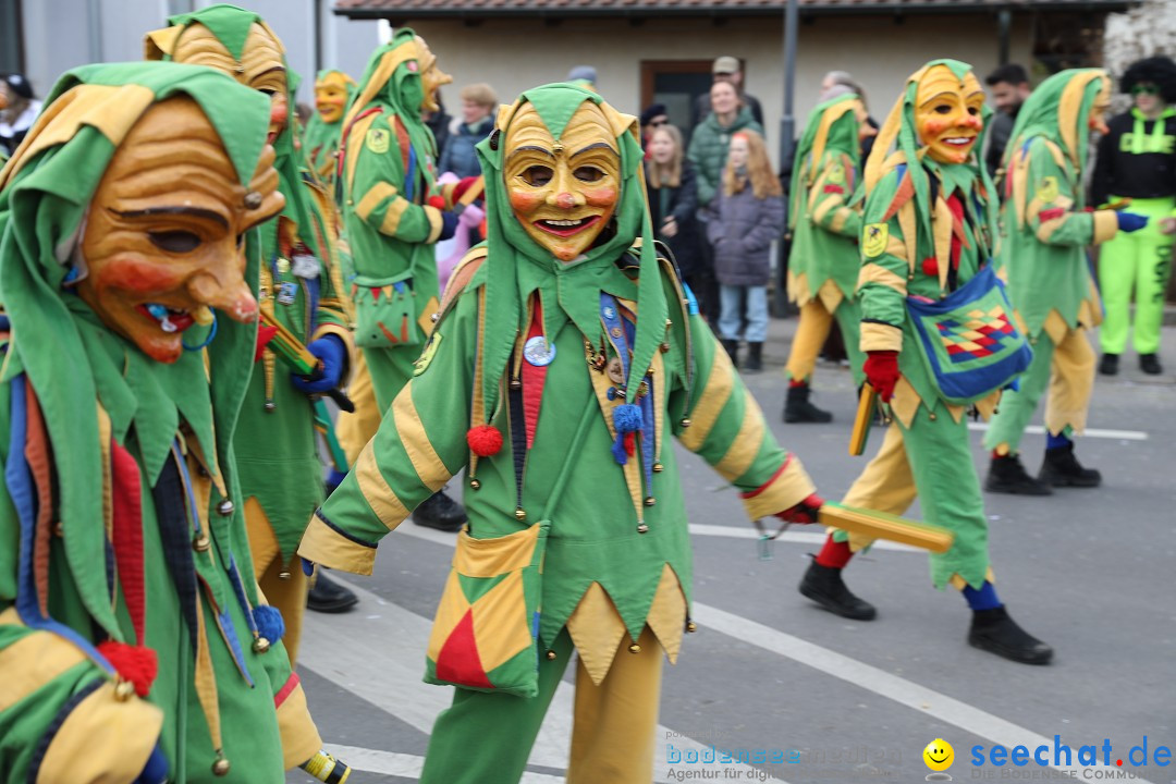 Narrensprung - Fasnetsumzug 2023: Baienfurt, 18.02.2023