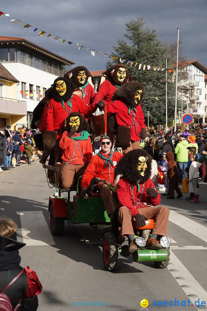 Narrenumzug: Markdorf am Bodensee, 19.02.2023
