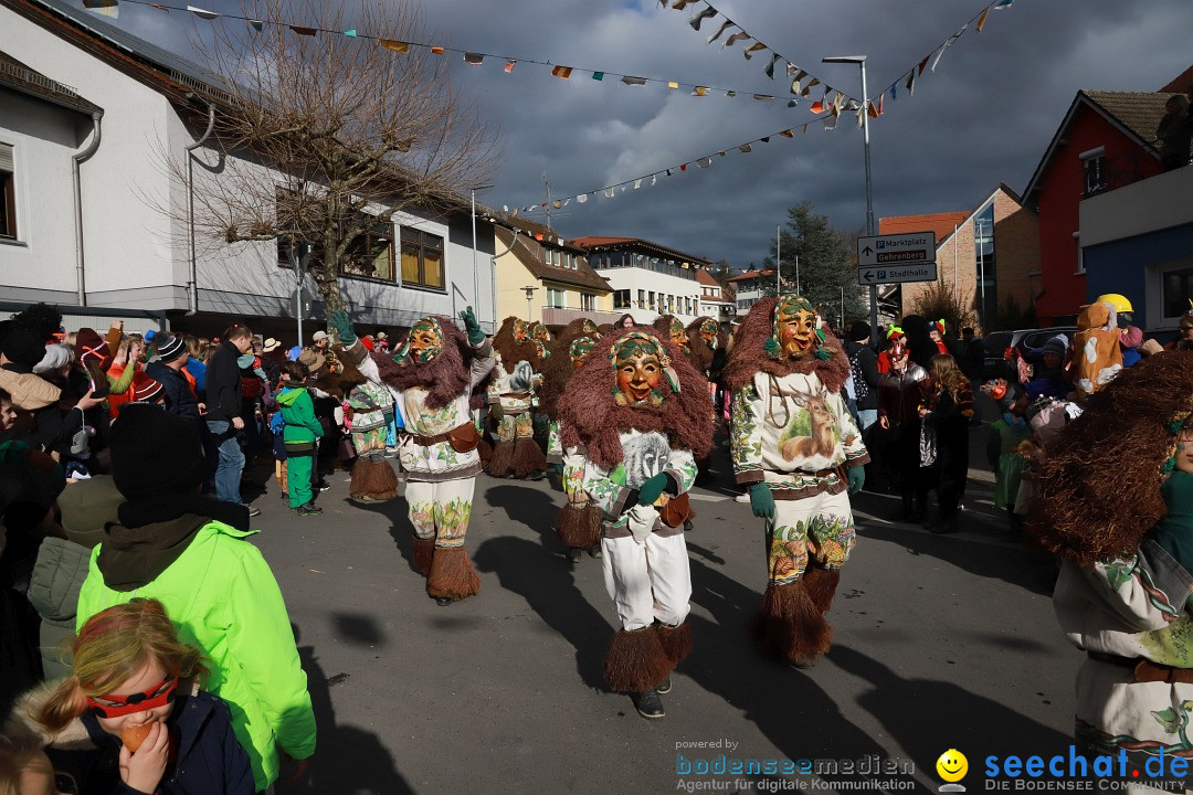 Narrenumzug: Markdorf am Bodensee, 19.02.2023