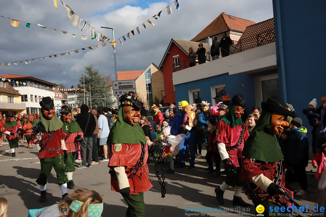 Narrenumzug: Markdorf am Bodensee, 19.02.2023