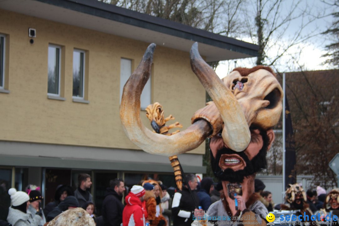 Fasnachtsumzug - Brugg am Bodensee, 26.02.2023
