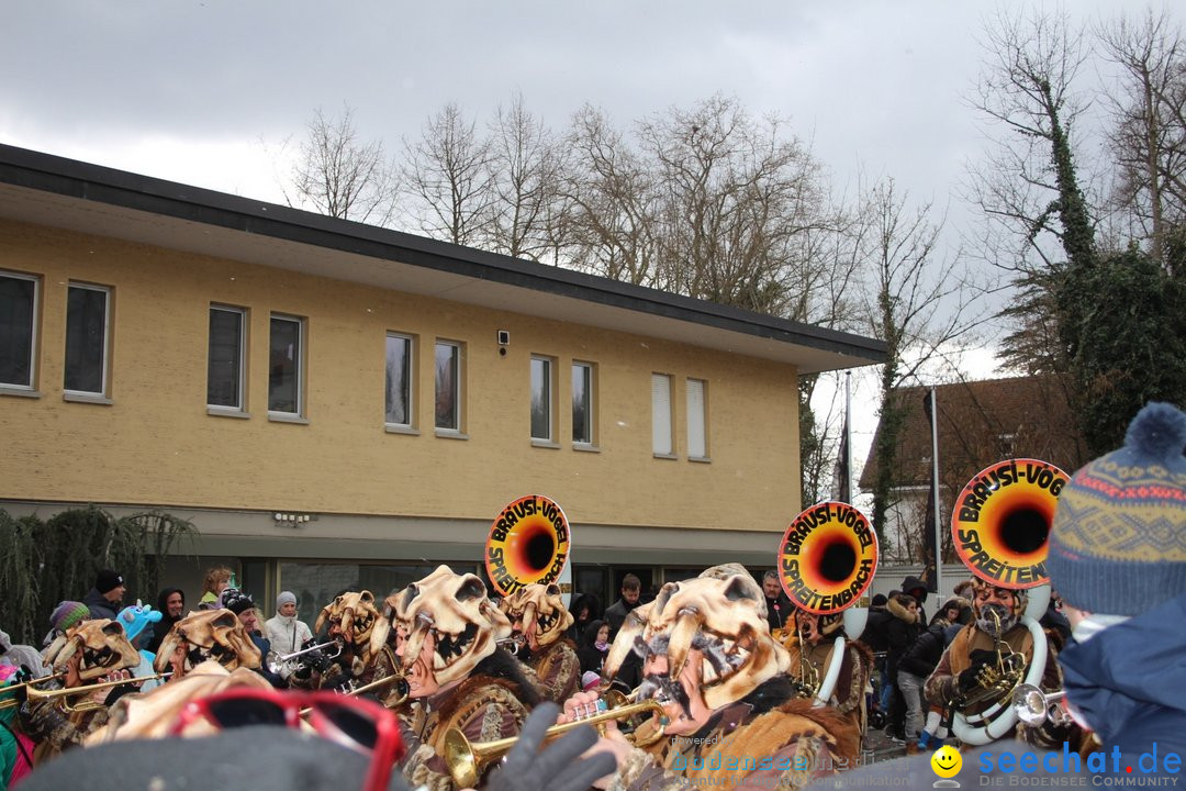 Fasnachtsumzug - Brugg am Bodensee, 26.02.2023