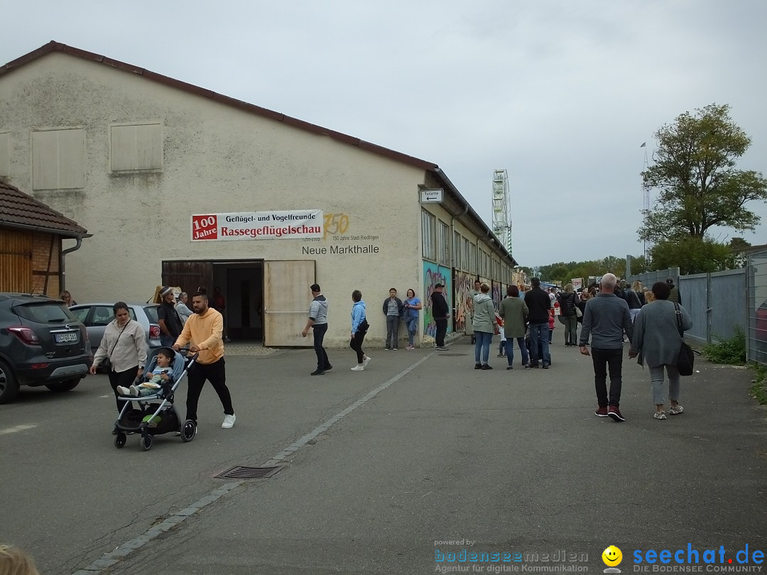 Donau-Bussen-Schau: Riedlingen, 8.10.2023