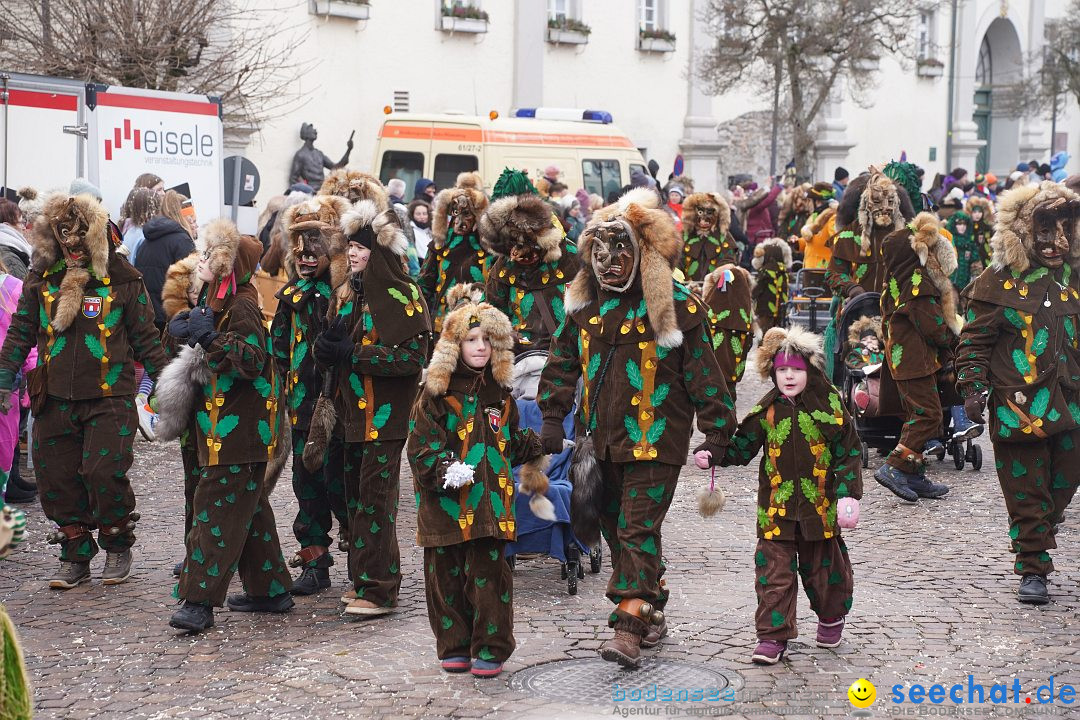 Narrenumzug: Langenargen am Bodensee, 14.01.2024