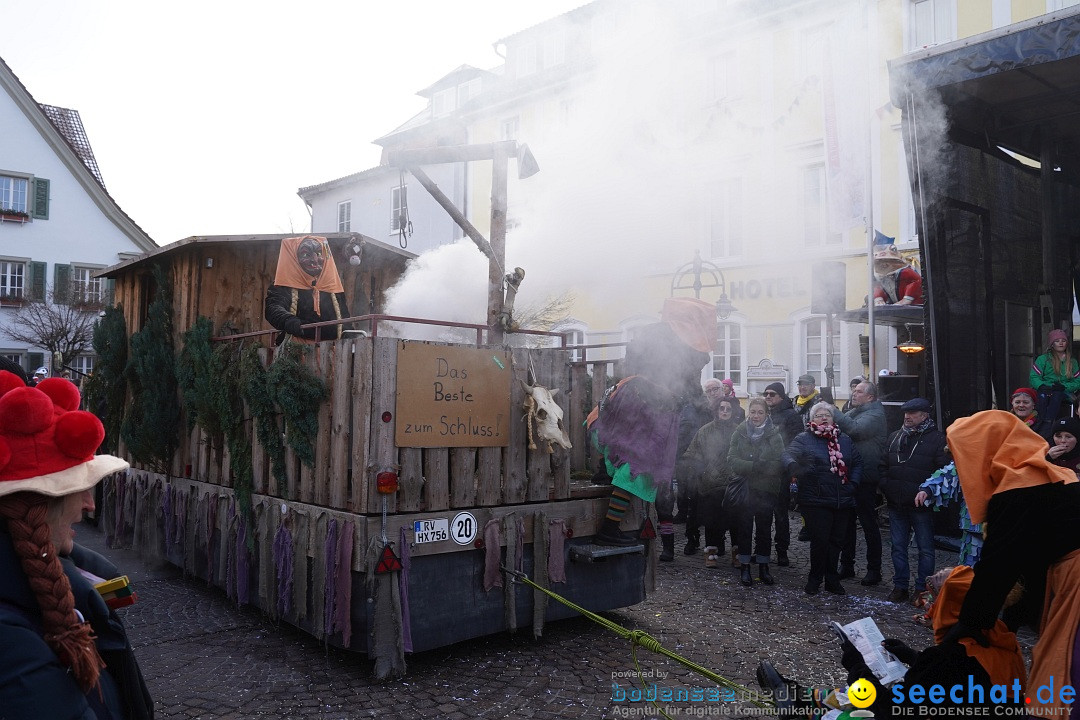 Narrenumzug: Langenargen am Bodensee, 14.01.2024