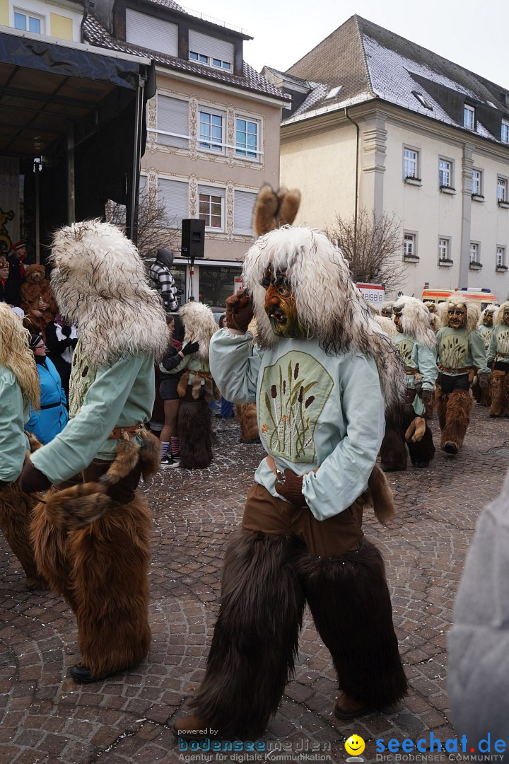 Narrenumzug: Langenargen am Bodensee, 14.01.2024