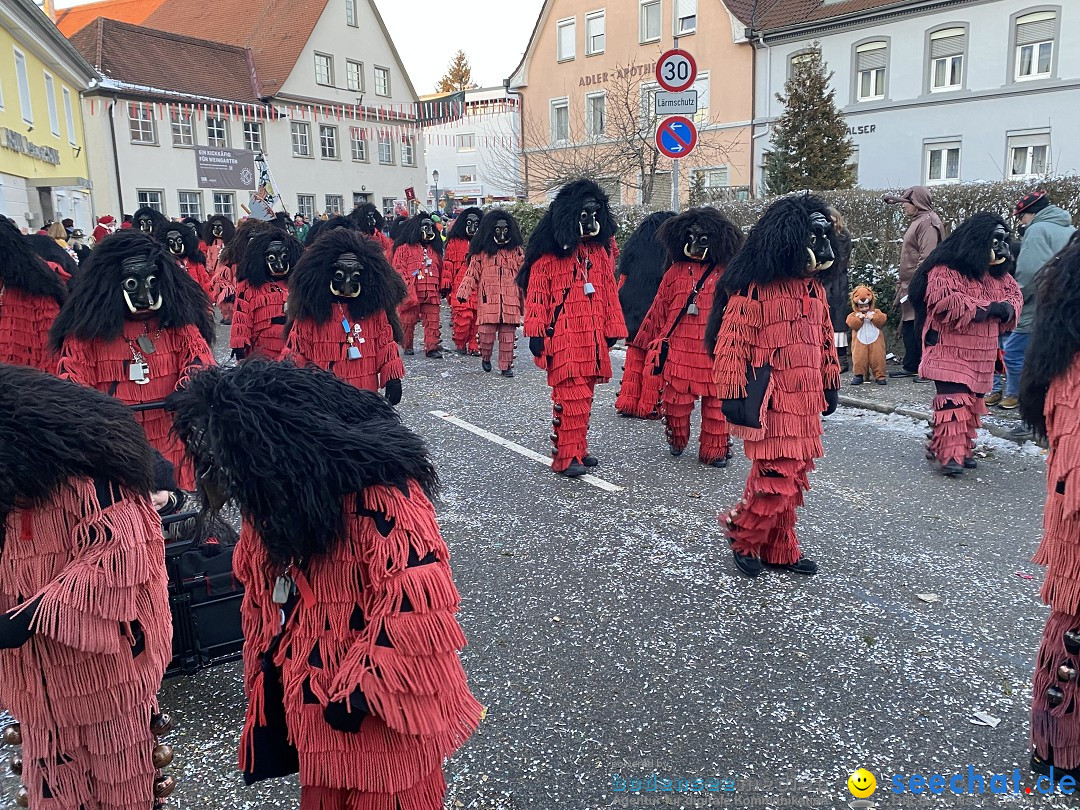 100 Jahre VSAN Narrentreffen: Weingarten, 21.01.2024
