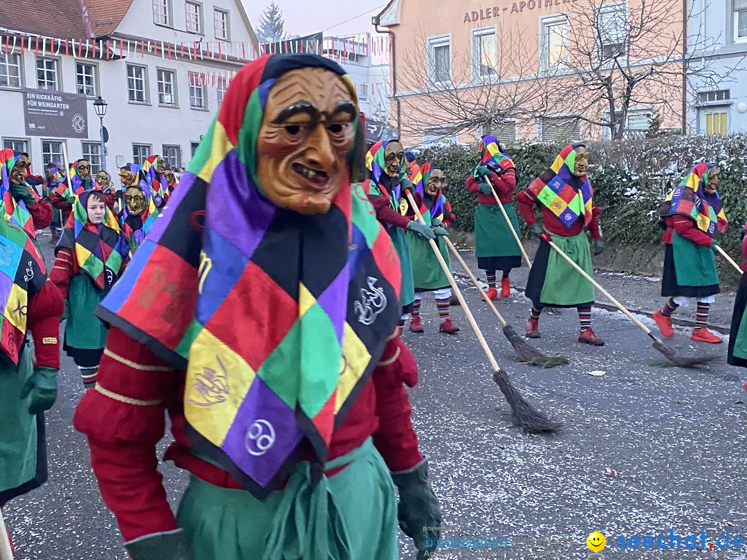 100 Jahre VSAN Narrentreffen: Weingarten, 21.01.2024