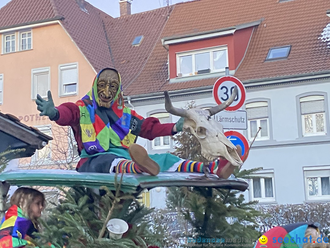 100 Jahre VSAN Narrentreffen: Weingarten, 21.01.2024