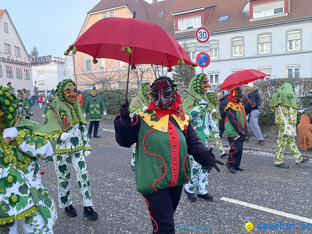 100 Jahre VSAN Narrentreffen: Weingarten, 21.01.2024