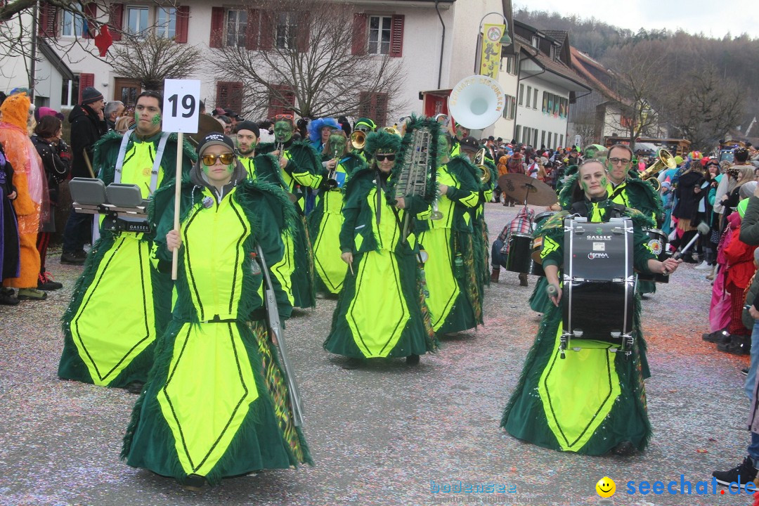 Fasnachtsumzug - Wuerenlingen, 11.02.2024