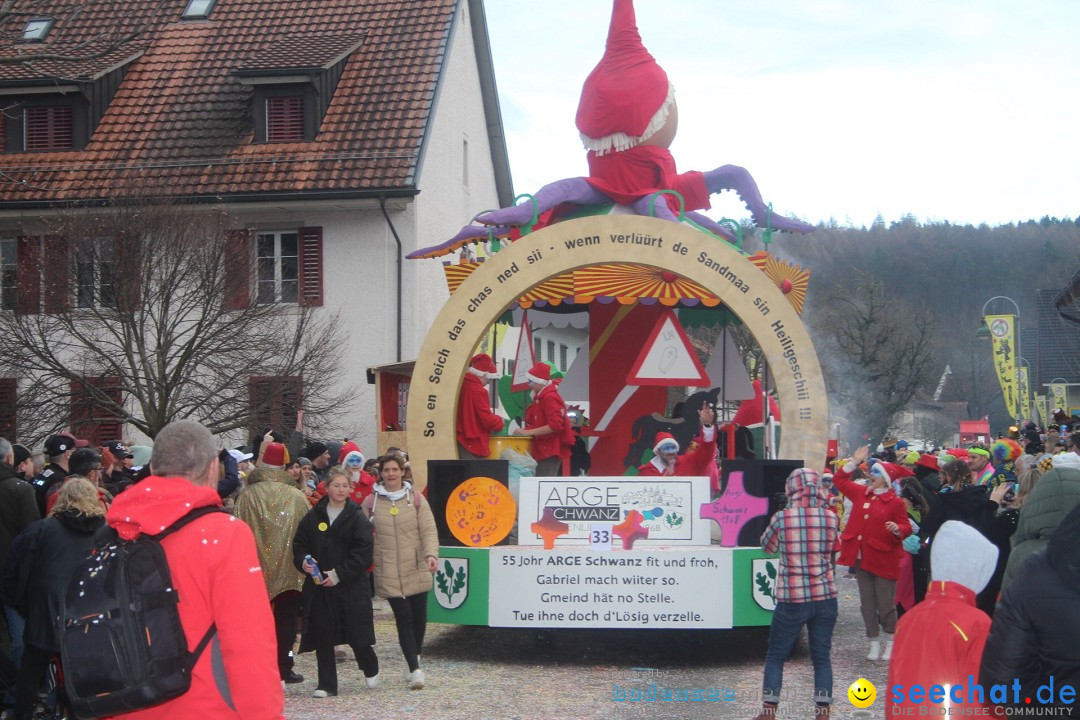 Fasnachtsumzug - Wuerenlingen, 11.02.2024