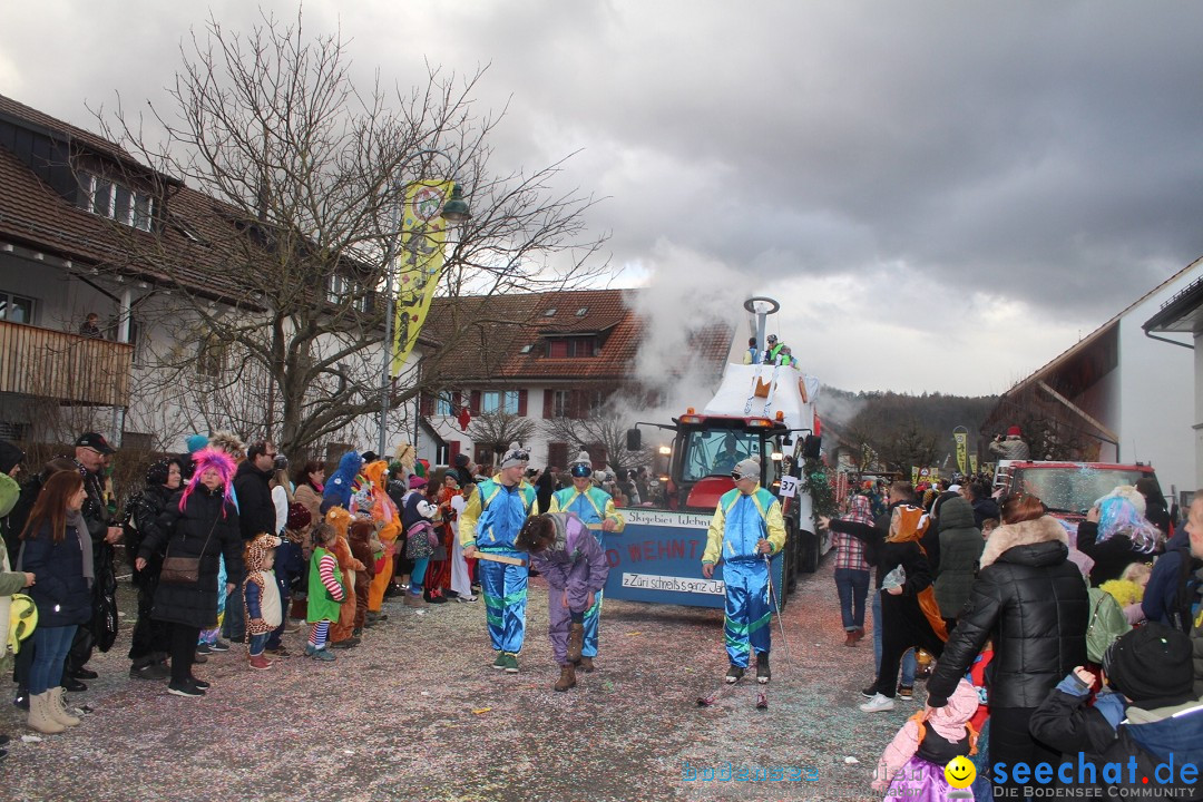 Fasnachtsumzug - Wuerenlingen, 11.02.2024