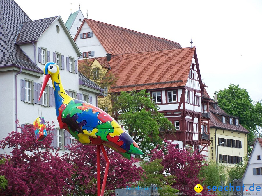 Flohmarkt: Riedlingen, 15.05.2010