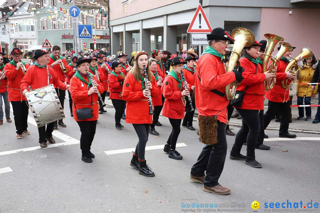 Narrenumzug: Markdorf am Bodensee, 11.02.2024