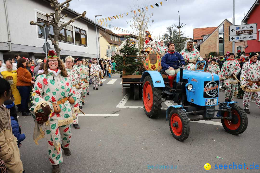 Narrenumzug: Markdorf am Bodensee, 11.02.2024