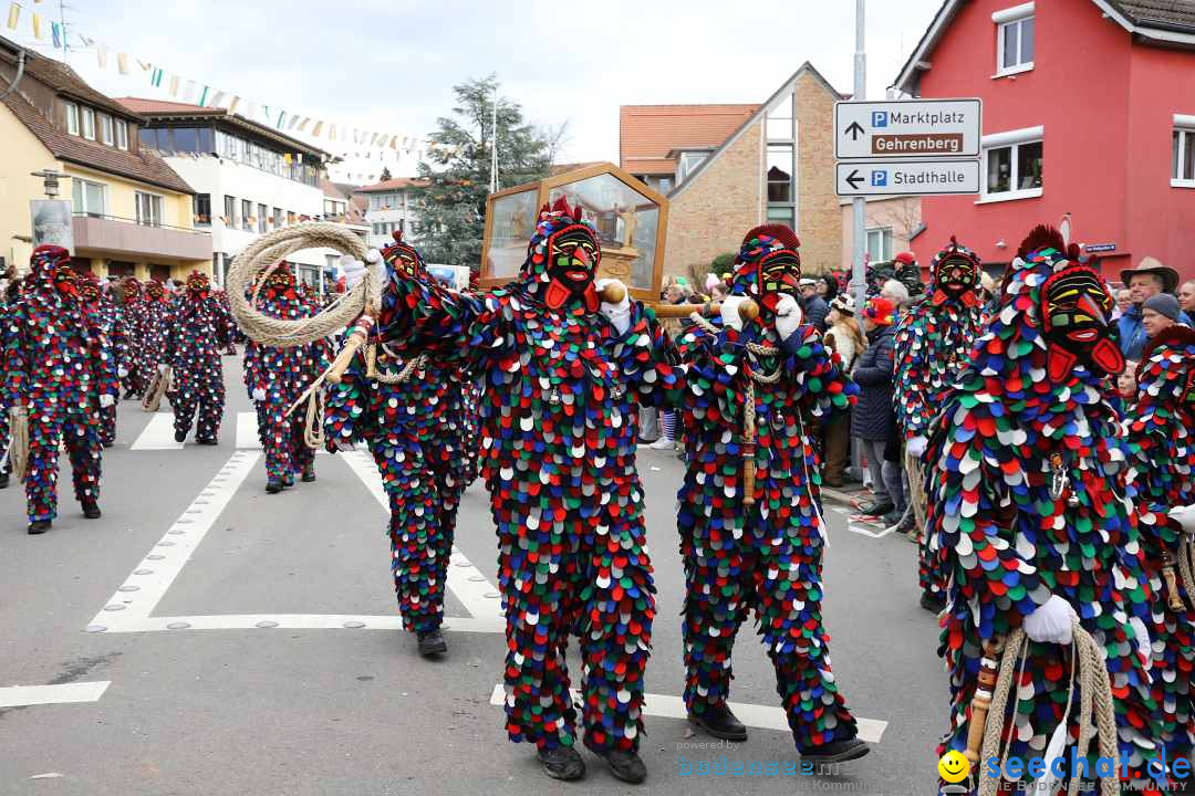 Narrenumzug: Markdorf am Bodensee, 11.02.2024