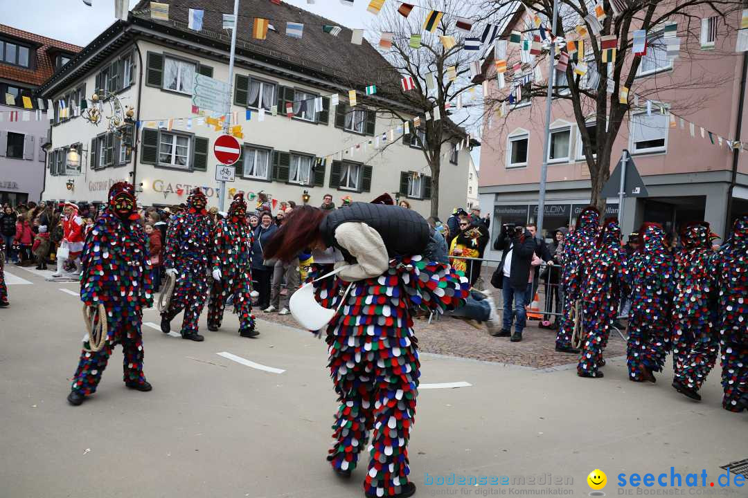 Narrenumzug: Markdorf am Bodensee, 11.02.2024