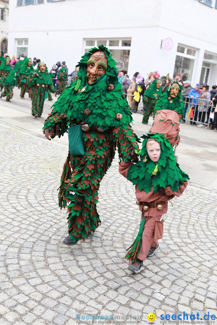 Rosenmontagsumzug - Narrensprung: Ravensburg, 12.02.2024