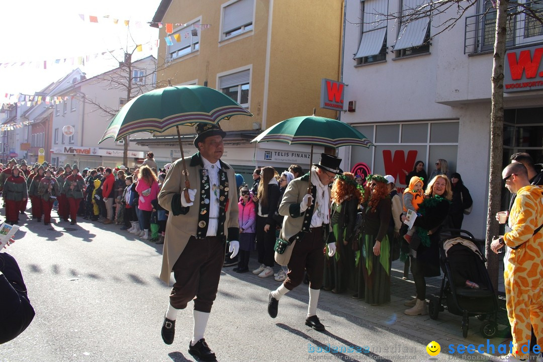 Fasnetsumzug: Tettnang am Bodensee, 13.02.2024
